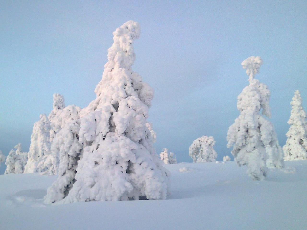 Kuerkaltio Holiday Village Äkäslompolo Exteriör bild